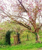 L'estanquet