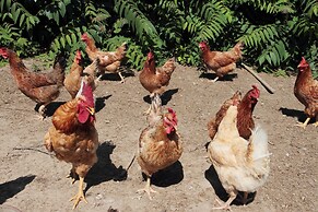 Agriturismo Le Stringaie