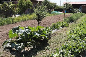 Agriturismo Le Stringaie