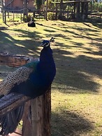 Hotel Fazenda Pampas