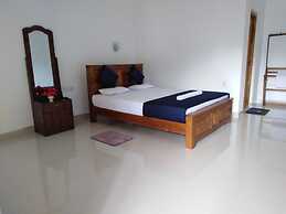 Jungle View Guest
