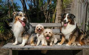 Wildlife Holiday Home