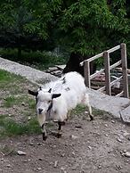 Vecchiascuola di Pianazzola