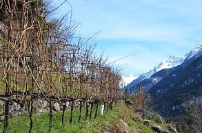 Vecchiascuola di Pianazzola