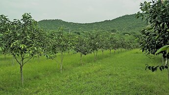 Chitrakoot Garden And Resorts Pushkar