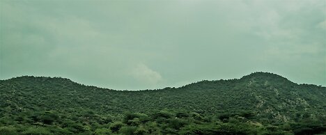 Chitrakoot Garden And Resorts Pushkar