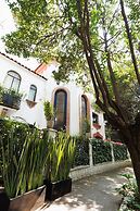 Orchid House Polanco