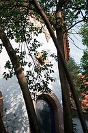 Orchid House Polanco