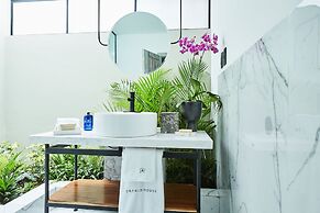 Orchid House Polanco