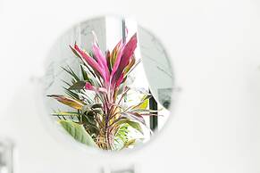 Orchid House Polanco