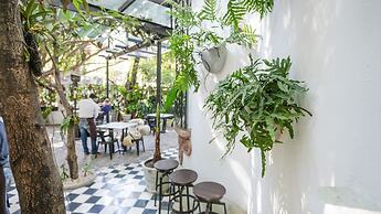 Orchid House Polanco