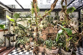 Orchid House Polanco