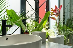 Orchid House Polanco