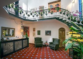 Orchid House Polanco