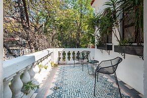 Orchid House Polanco