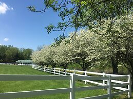 The Speckled Hen Inn B&B