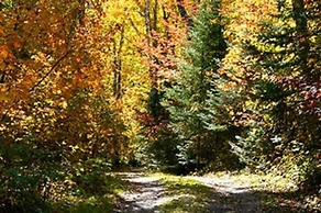 Leech Lake Resort Bed & Breakfast