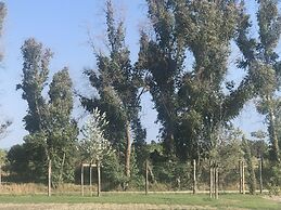 Vento Etrusco - Camping