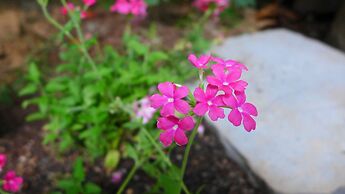 Gallery Family Hotel