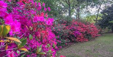 Sunnyside Bed & Breakfast