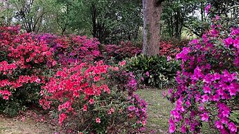 Sunnyside Bed & Breakfast