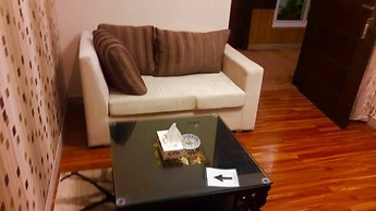 Safari Club 4