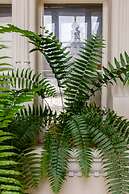 OK MAIN SQUARE Apartments