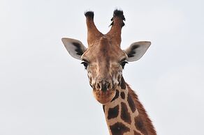 Victoria Lake View Guest House & Safaris