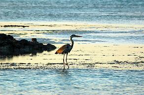 Victoria Lake View Guest House & Safaris