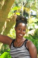 Victoria Lake View Guest House & Safaris