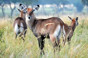 Victoria Lake View Guest House & Safaris