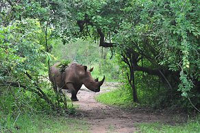 Victoria Lake View Guest House & Safaris