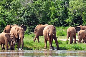 Victoria Lake View Guest House & Safaris