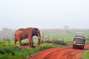 Victoria Lake View Guest House & Safaris