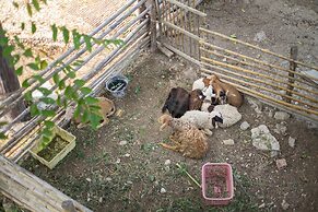 Rai Ruen Rom Organic Farm