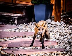 Alpen Way Chalet Mountain Lodge