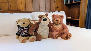 Alpen Way Chalet Mountain Lodge
