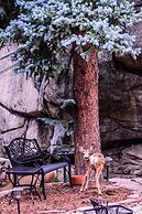 Alpen Way Chalet Mountain Lodge