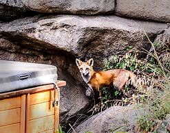 Alpen Way Chalet Mountain Lodge