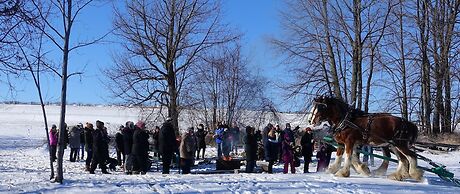 Elmhirst's Resort - On a lake