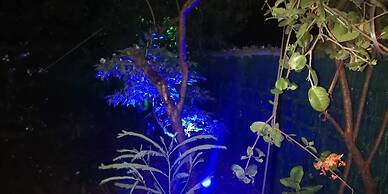 SSC VIlla