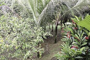 Big Falls Extreme Adventures