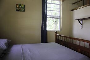 Big Falls Extreme Adventures