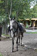 La Casa de Campo