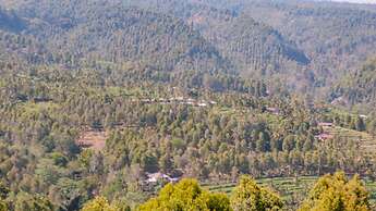 Puri Sunny Guesthouse