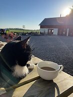 Bremsmaj Farm Holiday