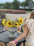 Bremsmaj Farm Holiday