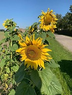 Bremsmaj Farm Holiday