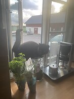 Bremsmaj Farm Holiday