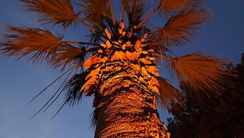 Ada Newday Resort Hotel